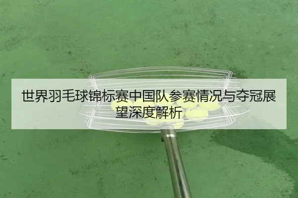 世界羽毛球锦标赛中国队参赛情况与夺冠展望深度解析